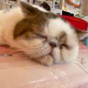 ヒメ日記 2025/08/17 12:26 投稿 みな ナメすぎサークル立川店