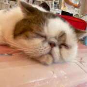 ヒメ日記 2025/08/17 12:41 投稿 みな ナメすぎサークル立川店