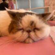 ヒメ日記 2025/08/18 14:21 投稿 みな ナメすぎサークル立川店