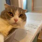 ヒメ日記 2025/08/29 11:47 投稿 みな ナメすぎサークル立川店