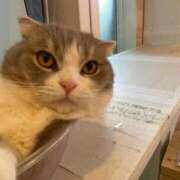 ヒメ日記 2025/08/29 11:51 投稿 みな ナメすぎサークル立川店