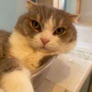 ヒメ日記 2025/08/31 13:48 投稿 みな ナメすぎサークル立川店