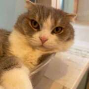 ヒメ日記 2025/08/31 14:01 投稿 みな ナメすぎサークル立川店