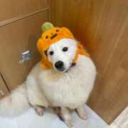 ヒメ日記 2025/10/01 15:08 投稿 みな ナメすぎサークル立川店