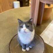 ヒメ日記 2025/11/08 03:15 投稿 みな ナメすぎサークル立川店