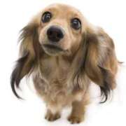 ヒメ日記 2025/12/11 10:38 投稿 れいか マダムバンク 富山本店