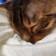 れいか 今日のありがとう🙌 マダムバンク 富山本店