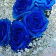 ヒメ日記 2024/12/15 16:35 投稿 ほし 甲府人妻隊