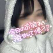 ヒメ日記 2025/01/29 19:32 投稿 きら ベイビーモコ