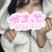 きら きら復活祭🐱 ベイビーモコ