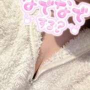 きら 今日は何の日？？ ベイビーモコ