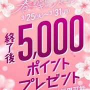 ヒメ日記 2025/03/27 21:50 投稿 さあや 即トク奥さん