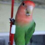 ヒメ日記 2025/10/14 09:50 投稿 さあや 即トク奥さん