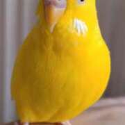 ヒメ日記 2025/12/30 10:50 投稿 さあや 即トク奥さん