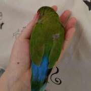 ヒメ日記 2026/02/28 23:30 投稿 さあや 即トク奥さん