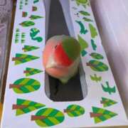 ヒメ日記 2026/04/02 13:16 投稿 さあや 即トク奥さん