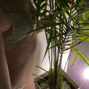 ヒメ日記 2025/01/09 11:40 投稿 りいさ 千葉人妻セレブリティ（ユメオト）