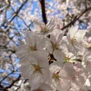 ヒメ日記 2026/04/02 20:10 投稿 なるみ 豊満倶楽部