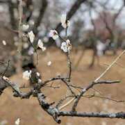 ヒメ日記 2025/02/17 14:53 投稿 なお 人妻倶楽部 内緒の関係 越谷店