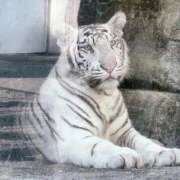 ヒメ日記 2025/09/17 13:53 投稿 なお 人妻倶楽部 内緒の関係 越谷店