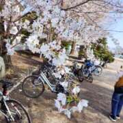 なお 🎀満開前夜、静かに色づく春の空🎀 人妻倶楽部 内緒の関係 越谷店