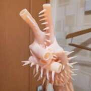 ゆりひな 転生したら寄生獣グローブだった件 手コキ研究会