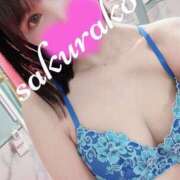 ヒメ日記 2025/02/22 08:14 投稿 桜子 若葉