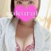 ヒメ日記 2025/03/22 14:55 投稿 桜子 若葉