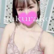 ヒメ日記 2025/03/23 14:35 投稿 桜子 若葉