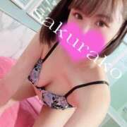 ヒメ日記 2025/04/27 16:45 投稿 桜子 若葉