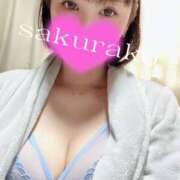 ヒメ日記 2025/05/10 07:35 投稿 桜子 若葉