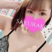 ヒメ日記 2025/06/22 16:40 投稿 桜子 若葉