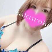 ヒメ日記 2025/08/31 07:45 投稿 桜子 若葉