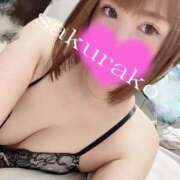 ヒメ日記 2025/10/13 14:45 投稿 桜子 若葉