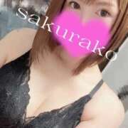 ヒメ日記 2025/11/09 14:35 投稿 桜子 若葉