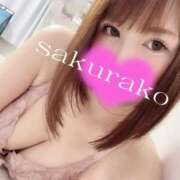 ヒメ日記 2025/11/16 11:05 投稿 桜子 若葉