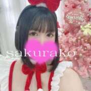 ヒメ日記 2025/11/23 14:35 投稿 桜子 若葉