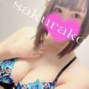 ヒメ日記 2025/11/30 14:25 投稿 桜子 若葉