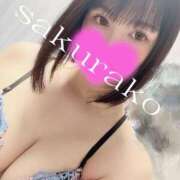 ヒメ日記 2025/12/28 15:14 投稿 桜子 若葉