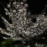 ヒメ日記 2026/04/08 22:51 投稿 ももな Ange Spa(アンジュスパ)