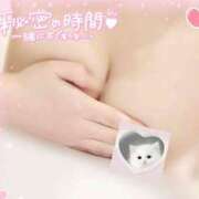 ヒメ日記 2025/04/14 23:15 投稿 ひなた 上野ハンドメイド