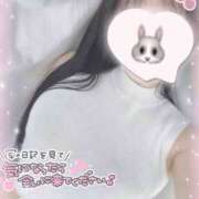 ヒメ日記 2025/04/15 12:15 投稿 ひなた 上野ハンドメイド