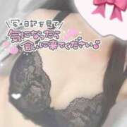 ヒメ日記 2025/06/24 16:17 投稿 ひなた 上野ハンドメイド