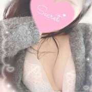 ヒメ日記 2025/10/10 16:47 投稿 ひなた 上野ハンドメイド