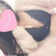 ヒメ日記 2025/11/07 17:42 投稿 ひなた 上野ハンドメイド