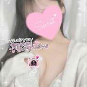 ヒメ日記 2025/11/23 14:36 投稿 ひなた 上野ハンドメイド