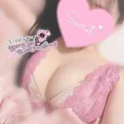 ヒメ日記 2025/11/25 17:11 投稿 ひなた 上野ハンドメイド