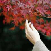 ヒメ日記 2025/09/21 08:06 投稿 徳島　あやみ エテルナ京都