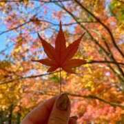 ヒメ日記 2025/09/23 06:19 投稿 徳島　あやみ エテルナ京都