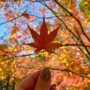 ヒメ日記 2025/09/23 12:34 投稿 徳島　あやみ エテルナ京都